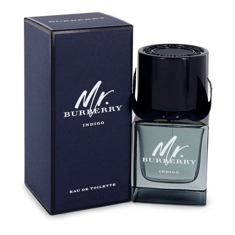 mr burberry indigo man|mr burberry indigo 50ml.